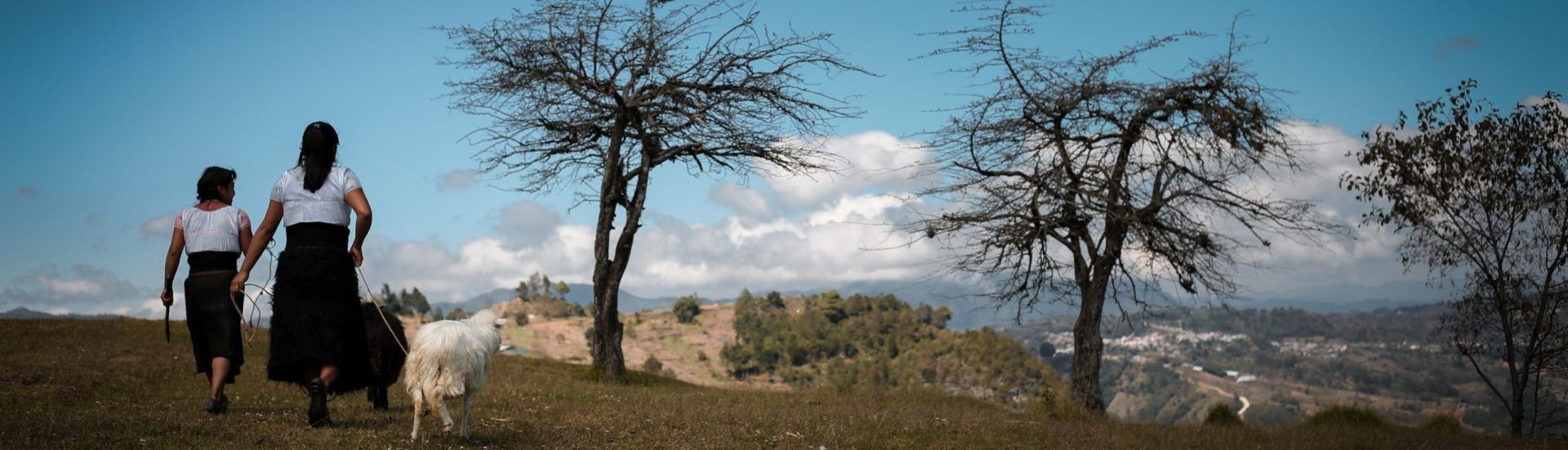 Mazcalero de barro pintado a mano